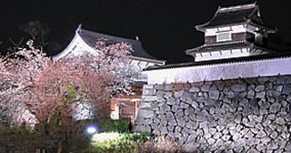 福岡城さくらまつり
